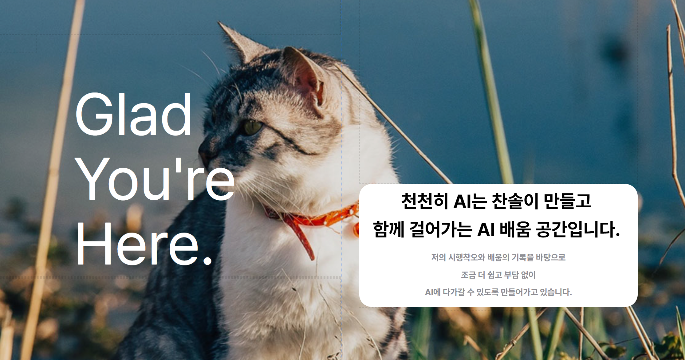 학습질문 이미지