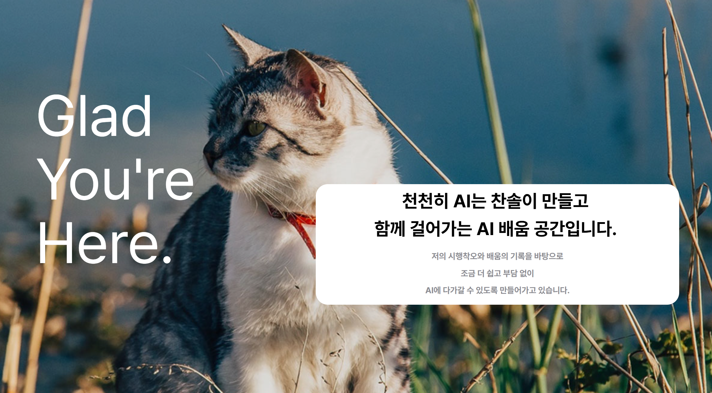 학습질문 이미지